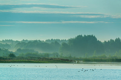 BUITEN BEELD Foto: 251445