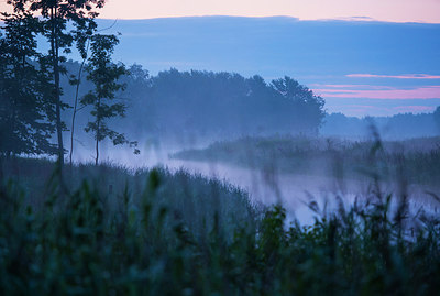 BUITEN BEELD Foto: 251532