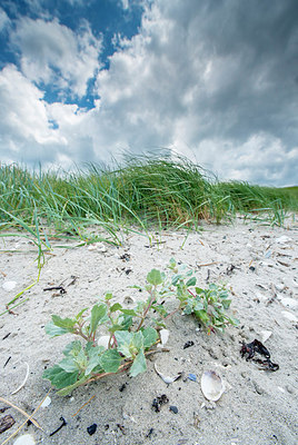 BUITEN BEELD Foto: 251537