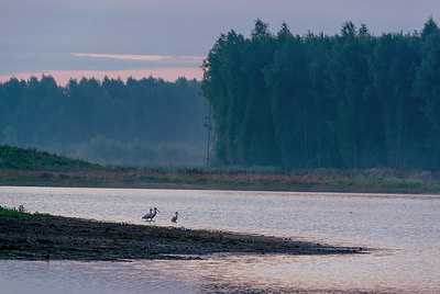 BUITEN BEELD Foto: 251548