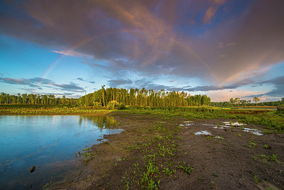 BUITEN BEELD Foto: 251576