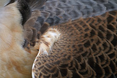 BUITEN BEELD Foto: 251590