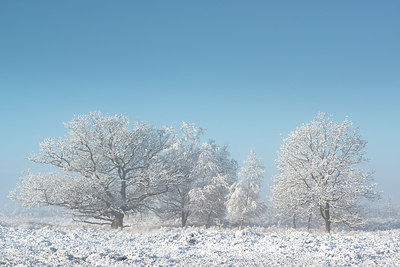 BUITEN BEELD Foto: 251600