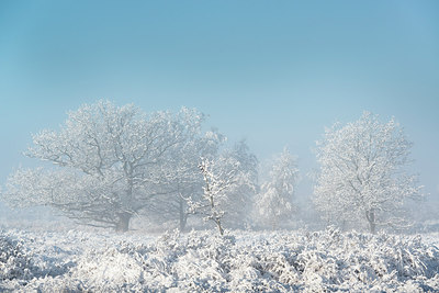 BUITEN BEELD Foto: 251601