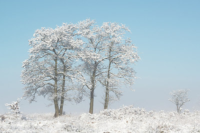 BUITEN BEELD Foto: 251602