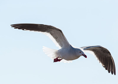 BUITEN BEELD Foto: 251650