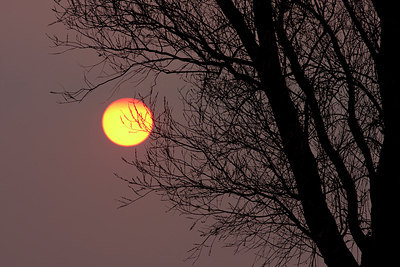 BUITEN BEELD Foto: 251684