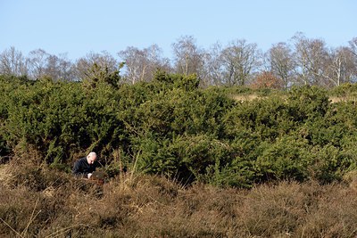 BUITEN BEELD Foto: 251686