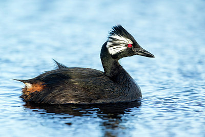 BUITEN BEELD Foto: 251781