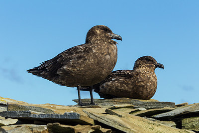 BUITEN BEELD Foto: 251819