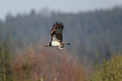 BUITEN BEELD Foto: 251863