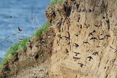 BUITEN BEELD Foto: 251882