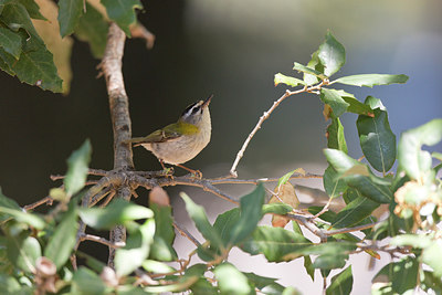 BUITEN BEELD Foto: 252356