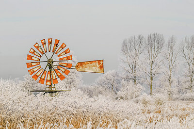 BUITEN BEELD Foto: 252388