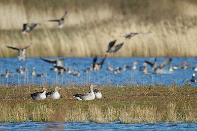 BUITEN BEELD Foto: 252418
