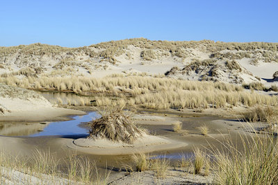 BUITEN BEELD Foto: 252529