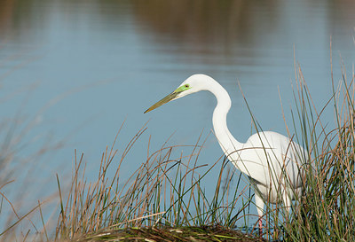 BUITEN BEELD Foto: 252605