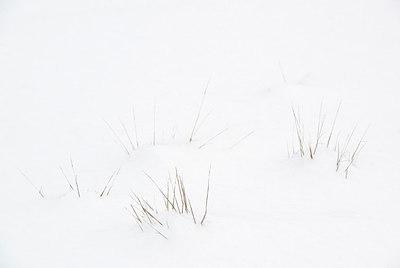 BUITEN BEELD Foto: 252612