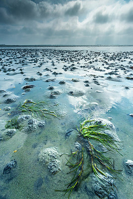 BUITEN BEELD Foto: 252624