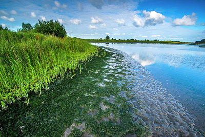 BUITEN BEELD Foto: 252650