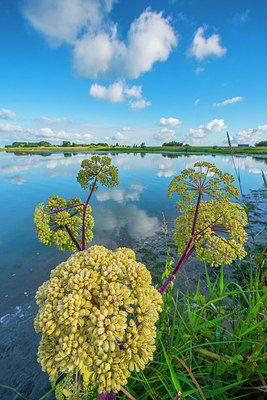 BUITEN BEELD Foto: 252658