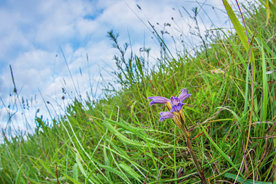 BUITEN BEELD Foto: 252672