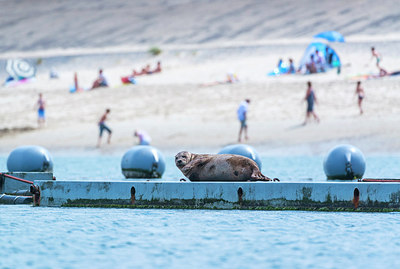 BUITEN BEELD Foto: 252683