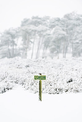 BUITEN BEELD Foto: 252706