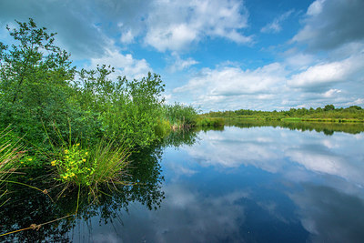 BUITEN BEELD Foto: 252714