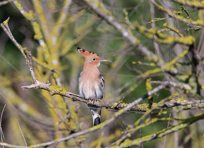 BUITEN BEELD Foto: 252790