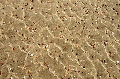 BUITEN BEELD Foto: 252873