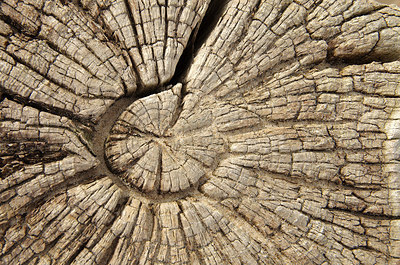 BUITEN BEELD Foto: 252884