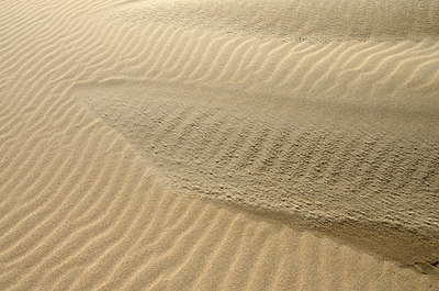 BUITEN BEELD Foto: 252885