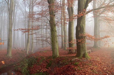 BUITEN BEELD Foto: 252976