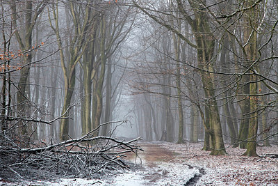 BUITEN BEELD Foto: 253000