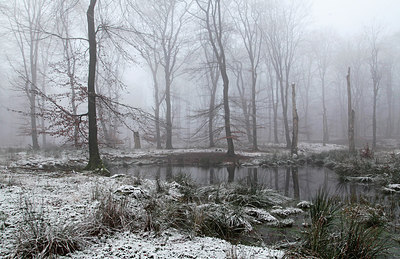 BUITEN BEELD Foto: 253012