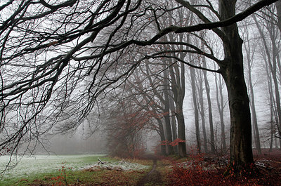 BUITEN BEELD Foto: 253013