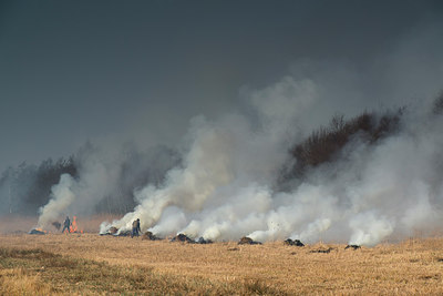 BUITEN BEELD Foto: 253027