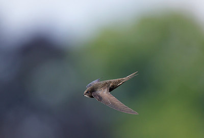 BUITEN BEELD Foto: 253032