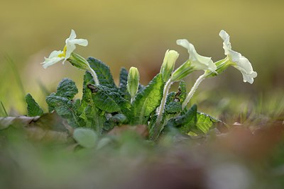 BUITEN BEELD Foto: 253057