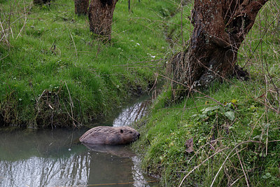 BUITEN BEELD Foto: 253100