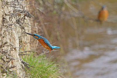 BUITEN BEELD Foto: 253164