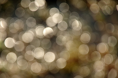 BUITEN BEELD Foto: 253183