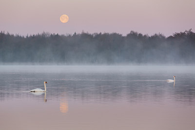 BUITEN BEELD Foto: 253271