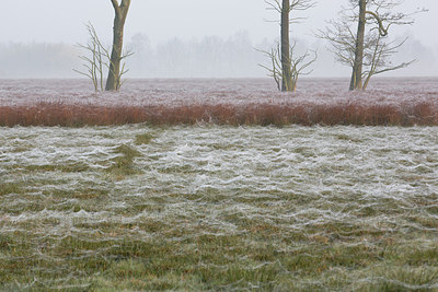 BUITEN BEELD Foto: 253389