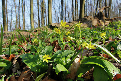 BUITEN BEELD Foto: 253502
