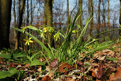 BUITEN BEELD Foto: 253519