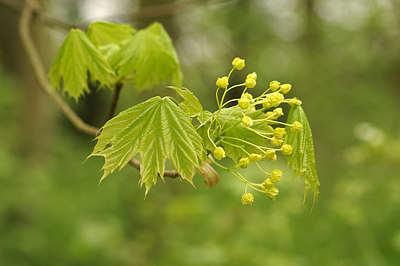 BUITEN BEELD Foto: 253559