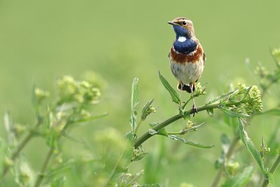 BUITEN BEELD Foto: 253601