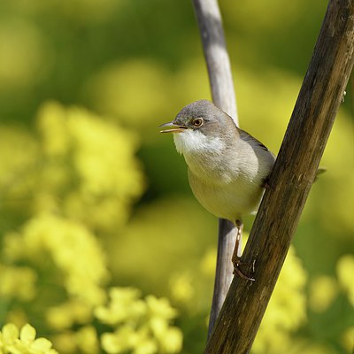 BUITEN BEELD Foto: 253608